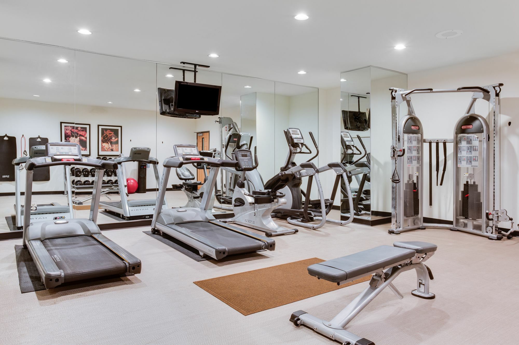 Staybridge Suites Tampa East- Brandon By Ihg Mango Экстерьер фото