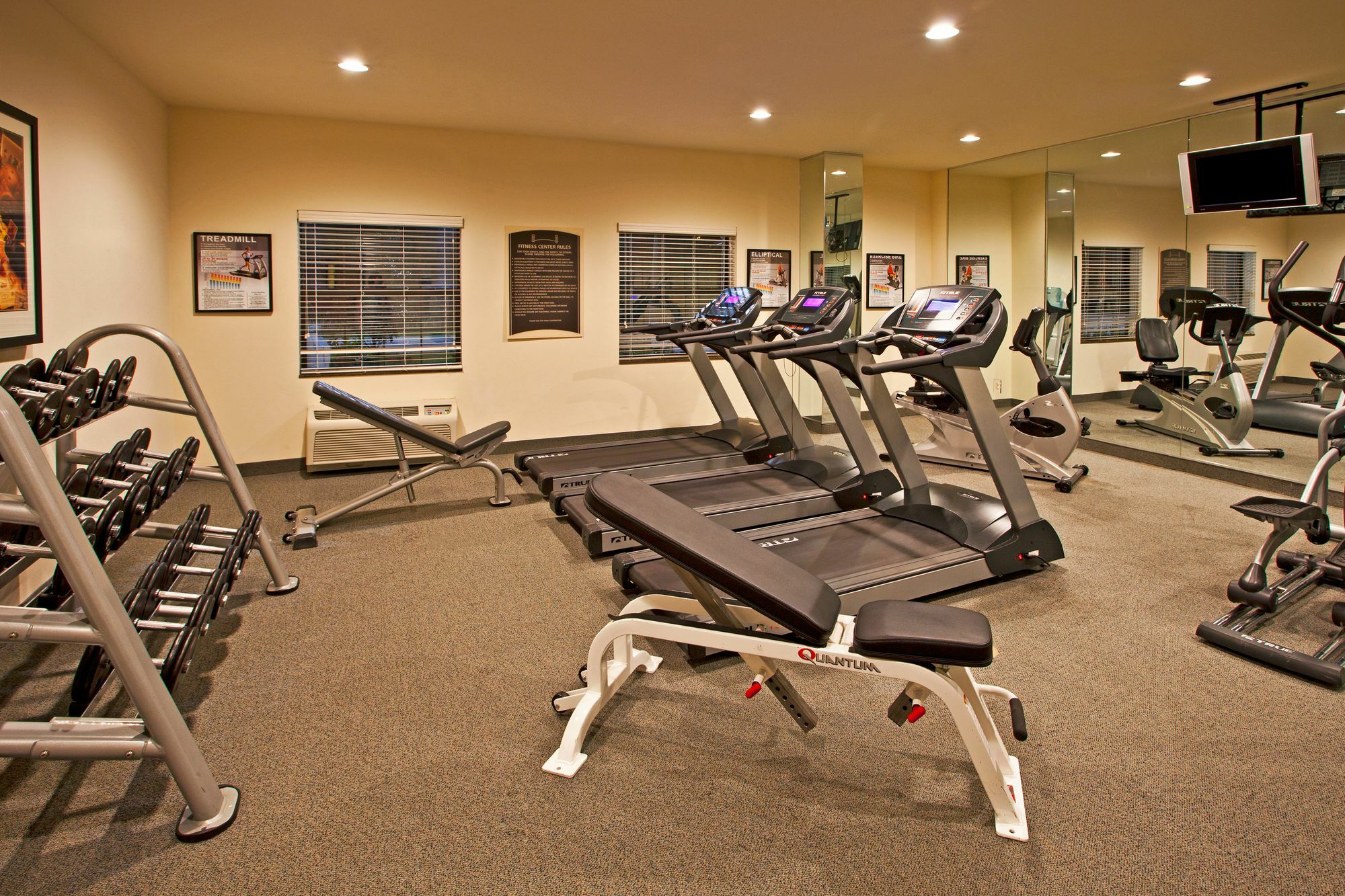 Staybridge Suites Tampa East- Brandon By Ihg Mango Экстерьер фото